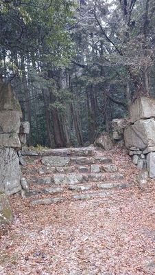 平井丸虎口の石垣