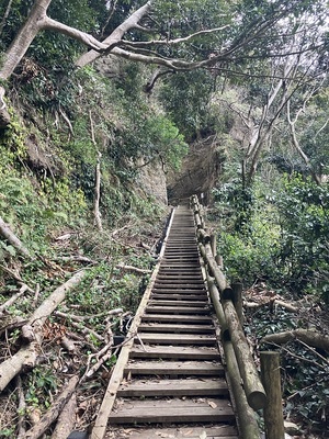 櫓口側からの登城路