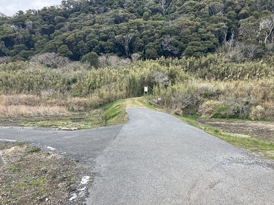 櫓口側登城口手前の光景(白浜城跡案内板)