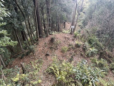 北の出城へ向かう細い尾根、堀切