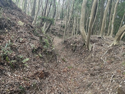 南の出城の横堀