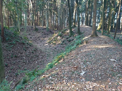 横矢の掛かった土塁