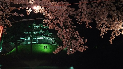 夜桜と三重櫓