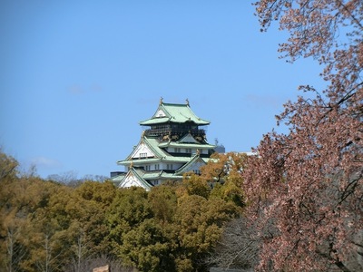 桜ともに大阪城