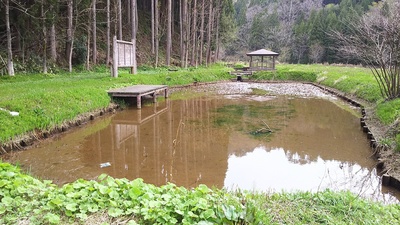 愛宕谷公園にある蓮池