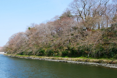 池の端豪と本丸土塁