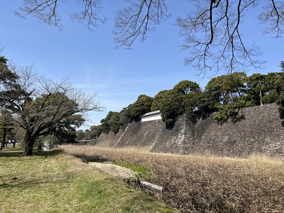 蓮池濠越しに見た富士見多門