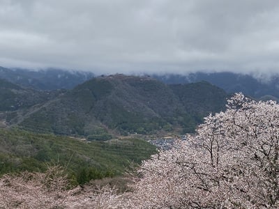 城址遠景(第二展望台)