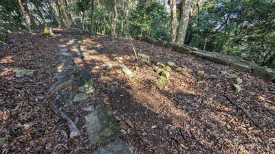 八幡宮の石畳