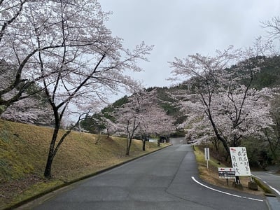 竹田城中腹