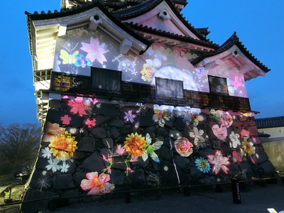 彦根城・天守に投影された花々