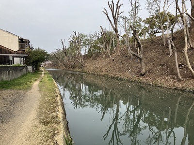 清水門北側の中濠と土塁