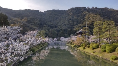 御土居（居館）跡と堀