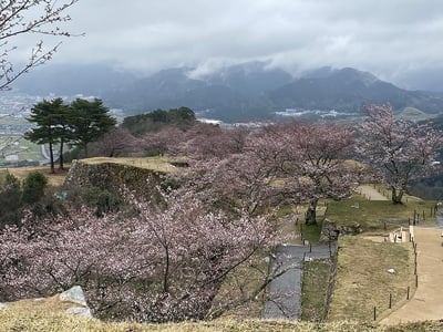 天守台からの眺望(北東側)