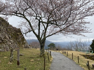 平殿