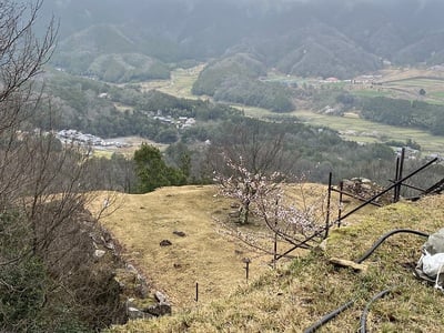 花屋敷