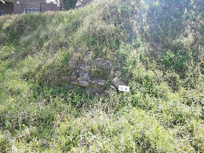 亀山城二の丸帯曲輪の石積み