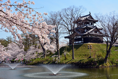 満開の桜と三重櫓