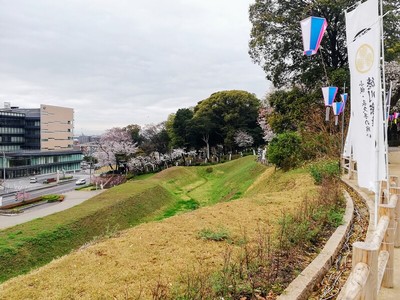 桜の馬場から見た復元土塁と空堀