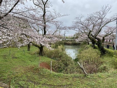 内堀(右手方面)