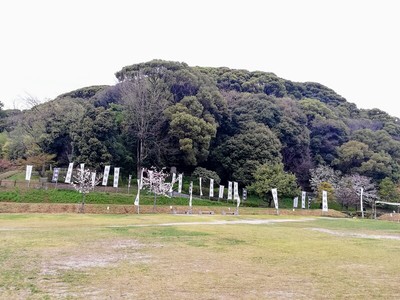 東帯曲輪地区から見た小牧山