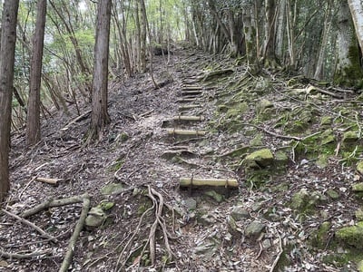 登山道