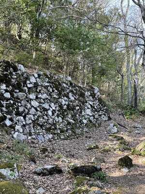 山王丸の大石垣