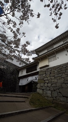 桜と二本松城