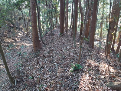 横堀に沿う土塁