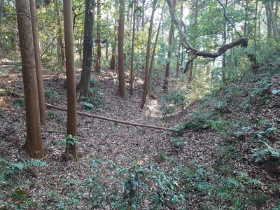 登城路の内側の横堀