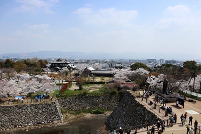 桜の郡山城