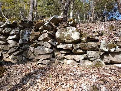 南4郭の下側の石垣