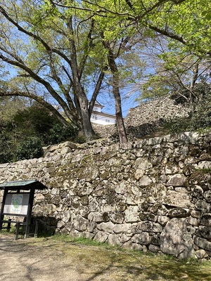 天秤櫓と登り石垣