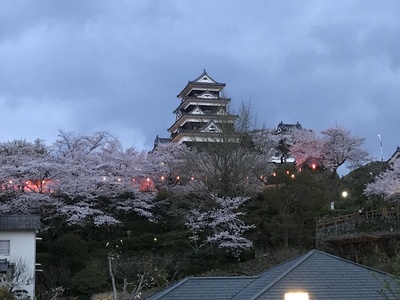 二の丸庭園より