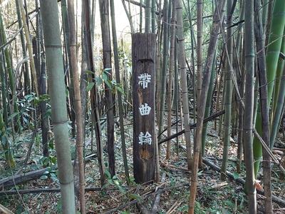 二の丸西側にある竹藪の帯曲輪