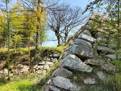 本丸北側の石垣