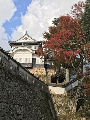 二の丸跡より天守を臨む