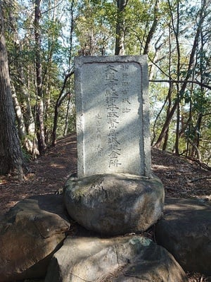 大道寺政繁居城記念碑