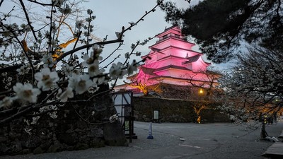 桜とピンクの天守