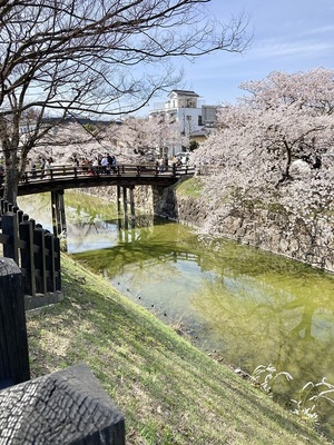 二の丸丑寅櫓台跡より