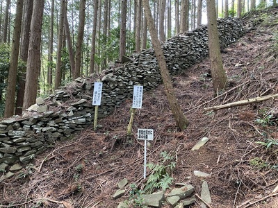 本丸付近の竪掘と石塁