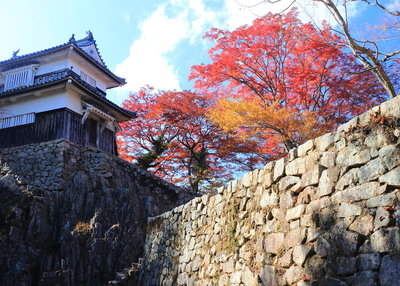 二重櫓の紅葉