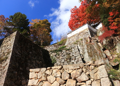 紅葉の高石垣