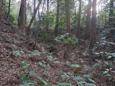 横矢の入った空堀