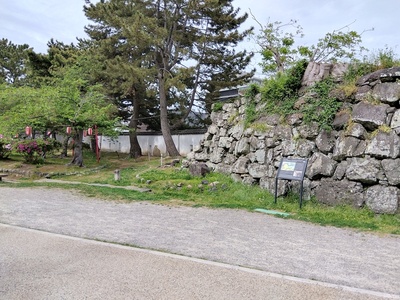 岡口門から続く土塀
