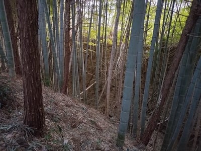 主郭北西側の空堀