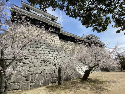 天守(北側より)