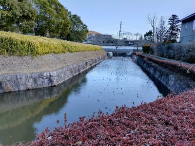 松岡陣屋を囲む水堀