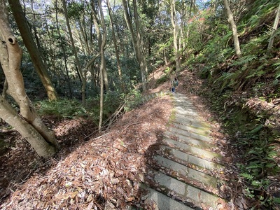 本丸までの階段