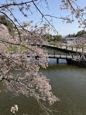 大手門より